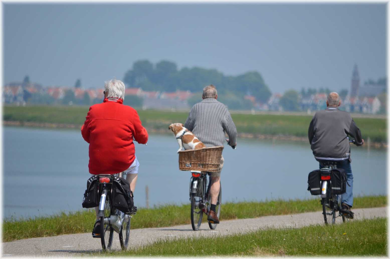 Canva - Three Man Riding Bicycles Near Body of Water.jpg